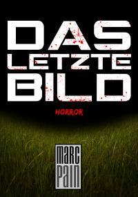 Das letzte Bild - Kindle Edition