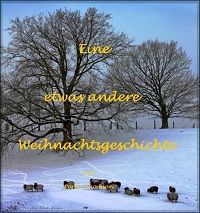 Eine etwas andere Weihnachtsgeschichte - Kindle Edition