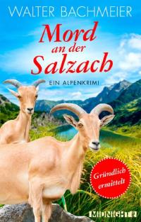 Mord an der Salzach: Ein Alpenkrimi (Ein-Tina-Grndlich-Krimi 2) - Kindle Edition
